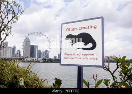 Otter Crossing-Schild in Gardens by the Bay, Singapur Stockfoto