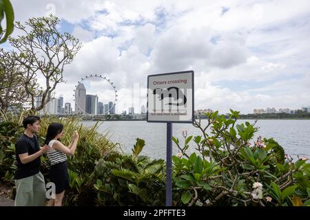 Otter Crossing-Schild in Gardens by the Bay, Singapur Stockfoto