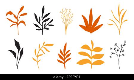 Set mit floralen Elementen, botanische Zeichnungen Stock Vektor