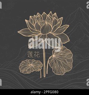 Lotus-Skizze mit feinen, anmutigen Linien. Isolierte Blume auf dunklem Hintergrund. Klassischer botanischer Lotus. Stock Vektor