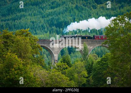 Alte Dampfeisenbahn, die den Glen Viadukt überquert und von Vegetation in Schottland umgeben ist. Jakobitendampfzug. Stockfoto