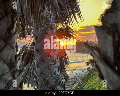 Santa Barbara, Kalifornien, USA. 16. März 2023. Ein goldener Sonnenuntergang bricht durch die schweren Wolken und bildet ein rotes „Auge“ auf einer Palme am Butterfly Beach, Montecito CA, nach dem jüngsten stimmungsvollen Flusssturm. (Kreditbild: © Amy Katz/ZUMA Press Wire) NUR REDAKTIONELLE VERWENDUNG! Nicht für den kommerziellen GEBRAUCH! Stockfoto