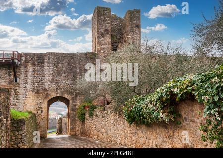 Befestigte Mauern der kleinen Stadt Monteriggioni in der Nähe von Siena in der Toskana, Italien Stockfoto