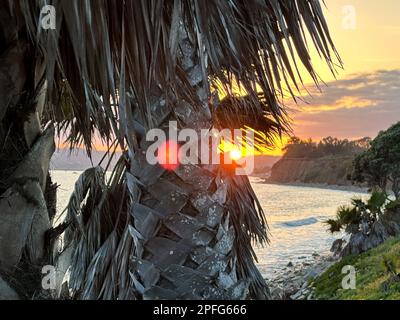 Santa Barbara, Kalifornien, USA. 16. März 2023. Ein goldener Sonnenuntergang bricht durch die schweren Wolken und bildet ein rotes „Auge“ auf einer Palme am Butterfly Beach, Montecito CA, nach dem jüngsten stimmungsvollen Flusssturm. (Kreditbild: © Amy Katz/ZUMA Press Wire) NUR REDAKTIONELLE VERWENDUNG! Nicht für den kommerziellen GEBRAUCH! Stockfoto