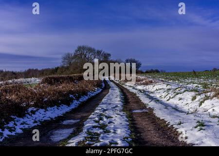 Eine schneebedeckte Landschaft Stockfoto