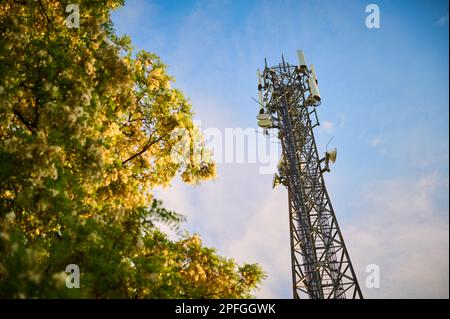 5G Sender mastet gegen den blauen Himmel zwischen den Bäumen Stockfoto