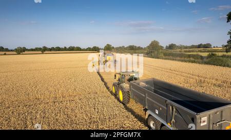 Ernte eines Weizenfeldes in North Yorkshire an einem Sommerabend. UK. Stockfoto