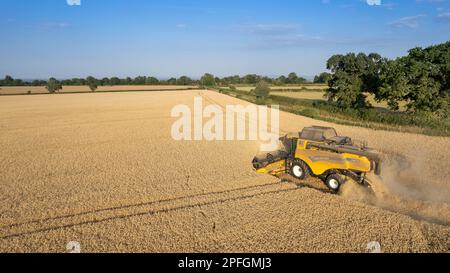 Ernte eines Weizenfeldes in North Yorkshire an einem Sommerabend. UK. Stockfoto