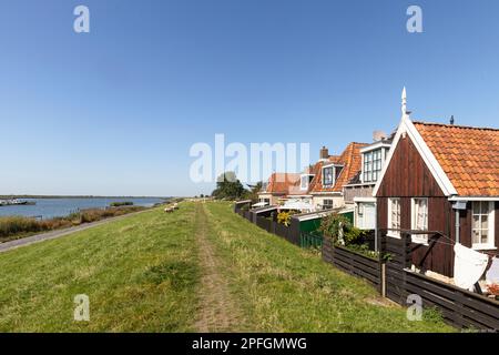 Deichhäuser und weidende Schafe am Ufer des malerischen Fischerdorfes Makkum in den Niederlanden. Stockfoto