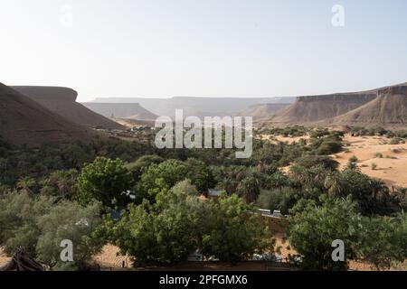 Die üppige Trejit-Oase mit Palmen und Grün blüht inmitten der trockenen, felsigen Landschaft der Sahara in der Region Adrar, Mauretanien. Stockfoto