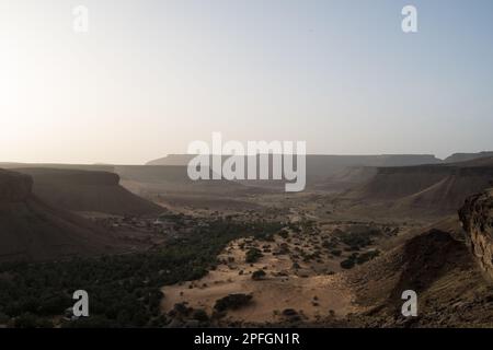 Die üppige Trejit-Oase mit Palmen und Grün blüht inmitten der trockenen, felsigen Landschaft der Sahara in der Region Adrar, Mauretanien. Stockfoto
