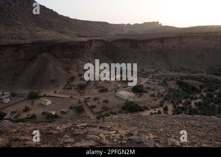 Die üppige Trejit-Oase mit Palmen und Grün blüht inmitten der trockenen, felsigen Landschaft der Sahara in der Region Adrar, Mauretanien. Stockfoto