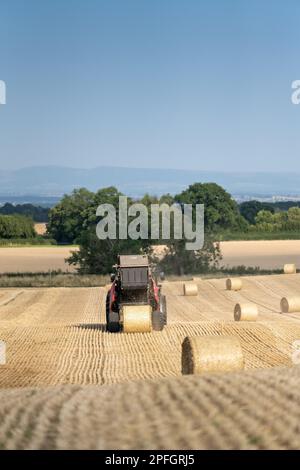 Pressen von Stroh zu Rundballen mit einem Massey Ferguson-Traktor 7726 und einer Ballenpresse RB4160v. Der Strohhalm wird als Tiereinstreu verwendet. North Yorkshire, Großbritannien. Stockfoto