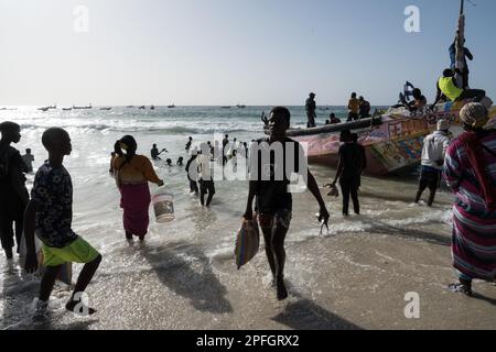 Afrikanische Fischer, die den Fischfang des Tages entladen. Port de Peche, Nouakchotts berühmter Fischmarkt, Plage des Pecheurs. Mauretanien. Stockfoto