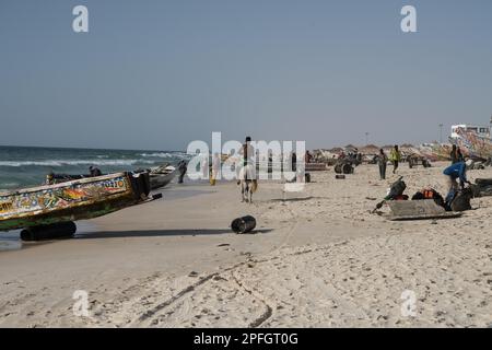 Afrikanische Fischer, die den Fischfang des Tages entladen. Port de Peche, Nouakchotts berühmter Fischmarkt, Mauretanien. Stockfoto