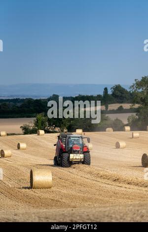 Pressen von Stroh zu Rundballen mit einem Massey Ferguson-Traktor 7726 und einer Ballenpresse RB4160v. Der Strohhalm wird als Tiereinstreu verwendet. North Yorkshire, Großbritannien. Stockfoto