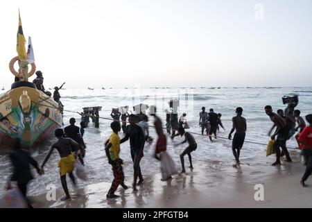 Afrikanische Fischer, die den Fischfang des Tages entladen. Port de Peche, Nouakchotts berühmter Fischmarkt, Plage des Pecheurs. Mauretanien. Stockfoto