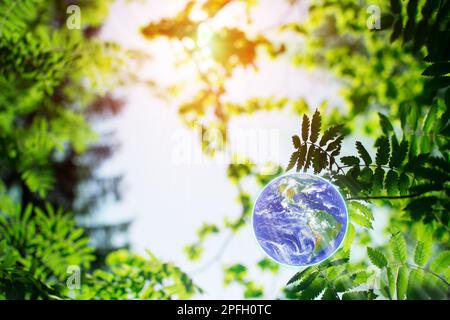 Erde im Hintergrund verschwommener Bäume. Das Konzept der Rettung der Erde. Frohen Tag Der Erde. Elemente dieses Bildes werden von der NASA bereitgestellt Stockfoto