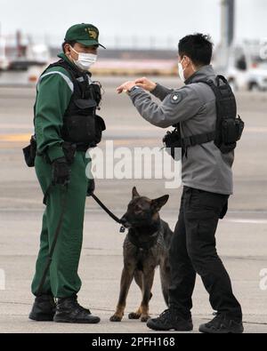 Tokio, Japan. 17. März 2023. Mitglied des südkoreanischen Sicherheitsdienstes spricht am Donnerstag, den 17. März 2023, mit dem Tokyo Metropolitan Police Officer am Tokyo International Airport in Tokio, Japan. Foto: Keizo Mori/UPI Credit: UPI/Alamy Live News Stockfoto