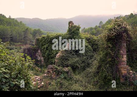 Jinquer, Castellon, Spanien. Häuser in Ruinen eines verlassenen Dorfes in der Mitte der Vegetation.Berg, Gruppe von Häusern. Straßen, Spanischen Bürgerkrieg Stockfoto