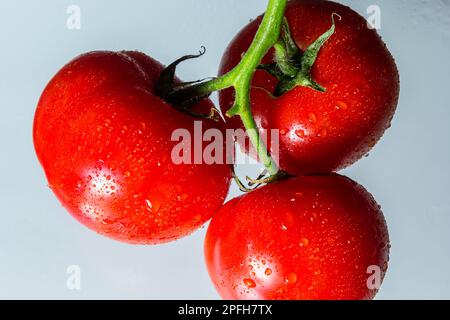 Rote Tomaten mit grünem Ausschnitt und Wassertropfen nach dem Waschen auf hellem Hintergrund. Stockfoto