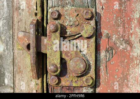 Rostiger Riegel an einer alten Scheunentür Stockfoto