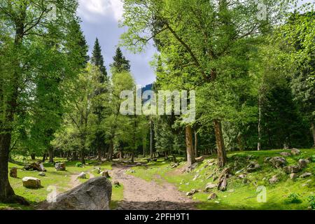 Qiongkushtai in Xinjiang, ein kleines kasachisches Dorf mit einem riesigen Grasland und gemütlichen Pferden und Schafen. Stockfoto