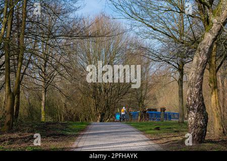 Wanderweg im Park. Eine Frau auf einem Fahrrad mit angebrachtem Kinderwagen wird entfernt. Frühling und Bäume ohne Blätter. Stockfoto