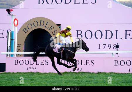 Jockey Paul Townend feiert den Sieg der Boodles Cheltenham Gold Cup Chase auf den Galopin des Champs am vierten Tag des Cheltenham Festivals auf der Cheltenham Racecourse. Foto: Freitag, 17. März 2023. Stockfoto