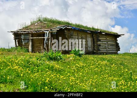 Qiongkushtai in Xinjiang, ein kleines kasachisches Dorf mit einem riesigen Grasland und gemütlichen Pferden und Schafen. Stockfoto