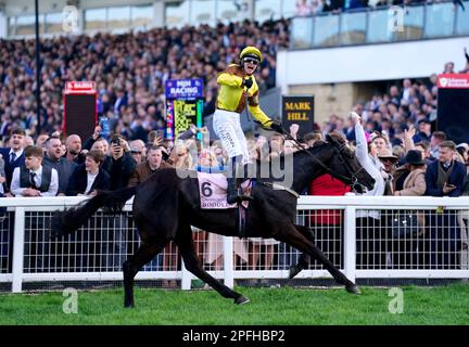 Jockey Paul Townend feiert den Sieg der Boodles Cheltenham Gold Cup Chase auf den Galopin des Champs am vierten Tag des Cheltenham Festivals auf der Cheltenham Racecourse. Foto: Freitag, 17. März 2023. Stockfoto