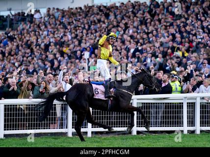 Jockey Paul Townend feiert den Sieg der Boodles Cheltenham Gold Cup Chase auf den Galopin des Champs am vierten Tag des Cheltenham Festivals auf der Cheltenham Racecourse. Foto: Freitag, 17. März 2023. Stockfoto