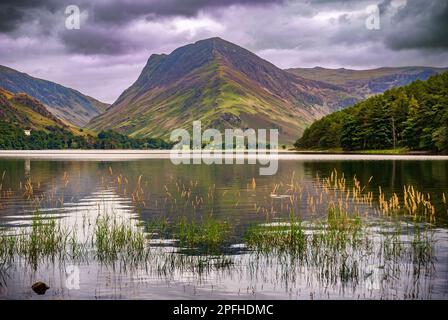 Reflexionen über Buttermere Blick in Richtung Fleetwith Hecht. Die Seenplatte Cumbria Nordwestengland. Stockfoto