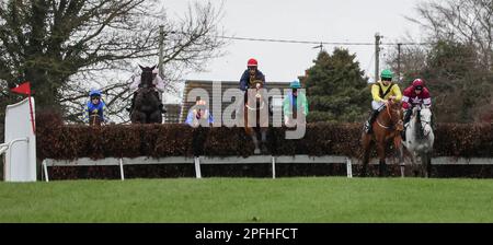 Unten Royal, Lisburn, County Antrim, Nordirland. 17. März 2023. St. Patrick's Day Race Meeting - Bluegrass Stamm 30 Chase - Rennen gewonnen Longhouse Poet (Nummer 4 (rote Mütze), geritten von J J J Slevin und trainiert von Martin Brassil). Kredit: CAZIMB/Alamy Live News. Stockfoto