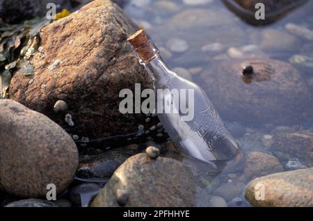 Glasflasche, versiegelt mit einem Korken, der eine Nachricht enthält, die am Strand angespült wurde Stockfoto