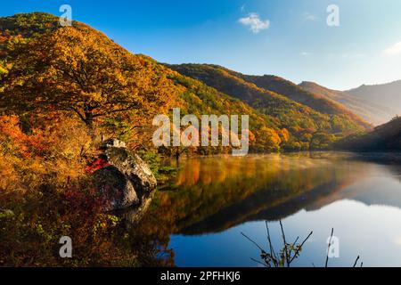 Herbstvormittag, Seenlandschaft umgeben von Bergen. Berge und Ahornbäume spiegeln sich im ruhigen Wasser wider. Nebel auf der Wasseroberfläche. Südkorea. Stockfoto