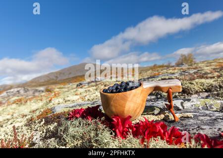 Traditionelle skandinavische Tasse, Guksi aus Holz / kuksa / kåsa gefüllt mit geernteten europäischen Heidelbeeren / Heidelbeeren (Vaccinium myrtillus), Schweden Stockfoto