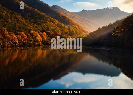 Herbst, Morgenlandschaft am See. Berge und Ahornbäume, die in der Morgensonne gebadet werden, spiegeln sich auf der Wasseroberfläche wider. Stockfoto