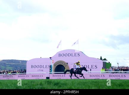 Jockey Paul Townend feiert den Sieg der Boodles Cheltenham Gold Cup Chase auf den Galopin des Champs am vierten Tag des Cheltenham Festivals auf der Cheltenham Racecourse. Foto: Freitag, 17. März 2023. Stockfoto