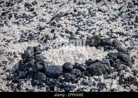 Popcorn Beach in der Nähe von Corralejo auf der Insel Fuerteventura auf den Kanarischen Inseln Stockfoto