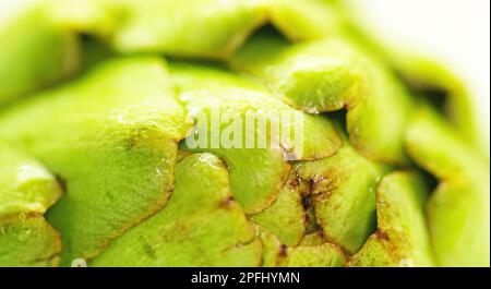 Artischocken auf dem Küchenmarmor Stockfoto