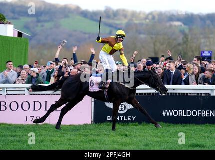 Jockey Paul Townend feiert den Sieg der Boodles Cheltenham Gold Cup Chase auf den Galopin des Champs am vierten Tag des Cheltenham Festivals auf der Cheltenham Racecourse. Foto: Freitag, 17. März 2023. Stockfoto