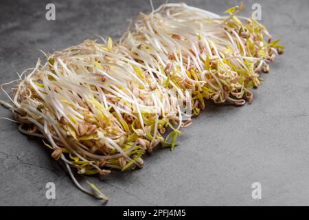 Gezüchtete Mungbohnen auf grauem Hintergrund. Mikrogrün und vegan gesundes Food-Konzept. Stockfoto