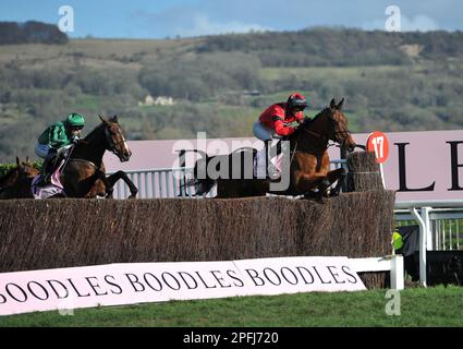 Boodles Cheltenham Gold Cup Ahoy Senor geritten von Derek Fox führt auf der ersten Rennstrecke in Cheltenham Racecourse am 4. Tag des Finalda an Stockfoto