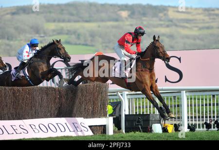 Boodles Cheltenham Gold Cup Ahoy Senor geritten von Derek Fox führt auf der zweiten Rennstrecke in Cheltenham Racecourse am 4. Tag des Finales an Stockfoto