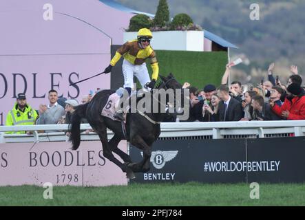 Der Gewinner des Boodles Cheltenham Gold Cup Race, Galopin des Champs Ridden by Paul Townend, überquert die Ziellinie Pferderennen auf der Cheltenham Racecourse o Stockfoto