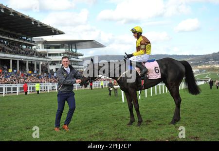 Galopin des Champs, Gewinner des Gold Cup-Rennens von Boodles Cheltenham, reitet von Paul Townend, nachdem er das Rennen auf dem ersten Platz in Chelten beendet hat Stockfoto