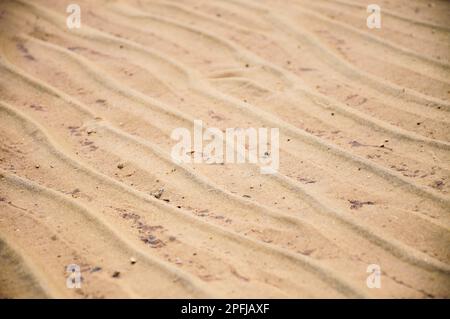Texturen in Form von Linien im Sand am Strand, verursacht durch die Wellen Stockfoto