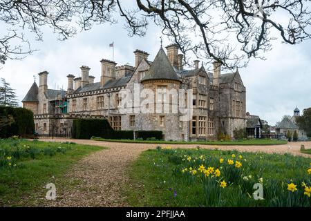 Beaulieu Palace House im Frühling mit Narzissen, New Forest, Hampshire, England, Großbritannien Stockfoto