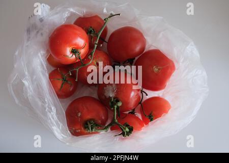 Einige faule Tomaten und einige unberührte Tomaten befinden sich in einem durchsichtigen Plastikbeutel auf einer weißen Küchenarbeitsfläche. Stockfoto